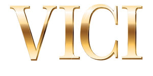 VICI - World's Fastest Racing Suit
